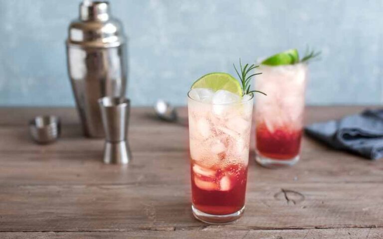 Perfect Sloe Gin Fizz Prosecco