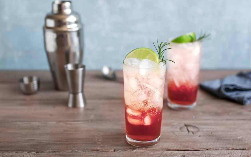 Perfect Sloe Gin Fizz Prosecco