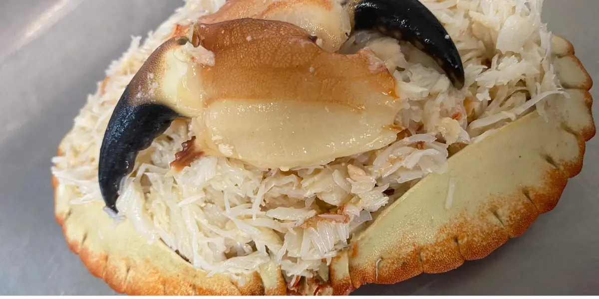 Freshly dressed crab on a plate with lemon wedges and herbs